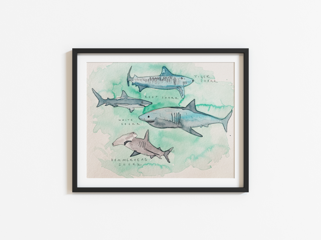 shark painting