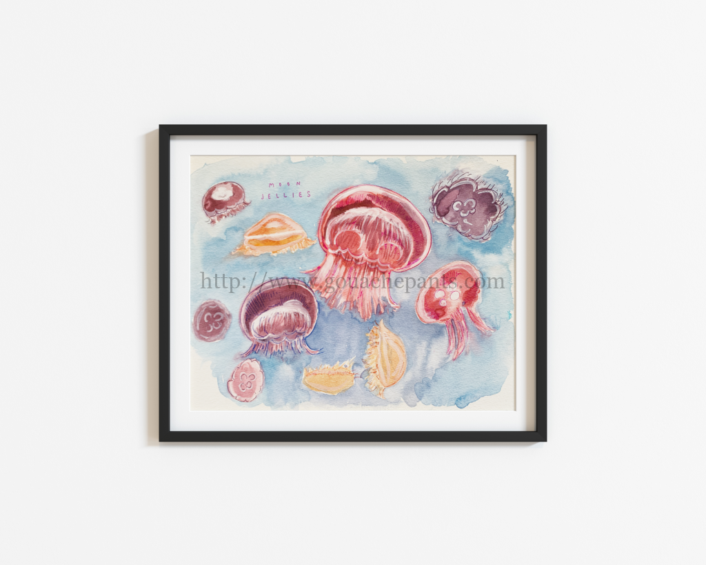 multicolored jellyfish swimming